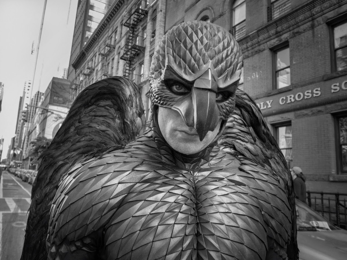 Birdman or The Unexpected Virtue of Ignorance