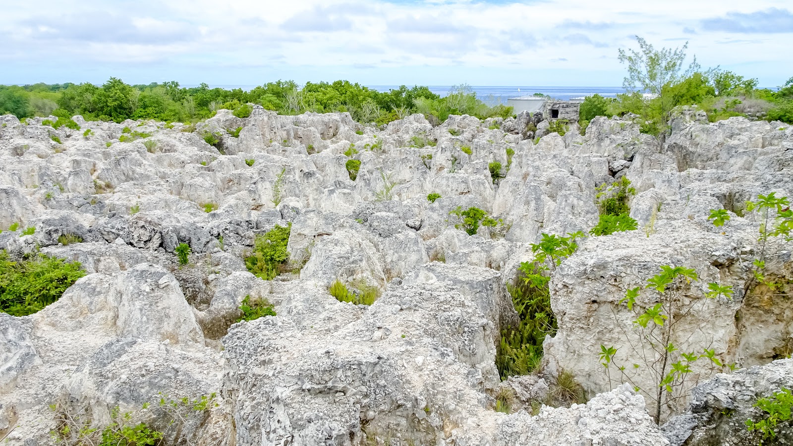 Nauru The world's 3rd smallest country Sven's Travel Venues