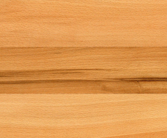 Gỗ beech là gỗ gì? Ưu nhược điểm của gỗ dẻ gai?