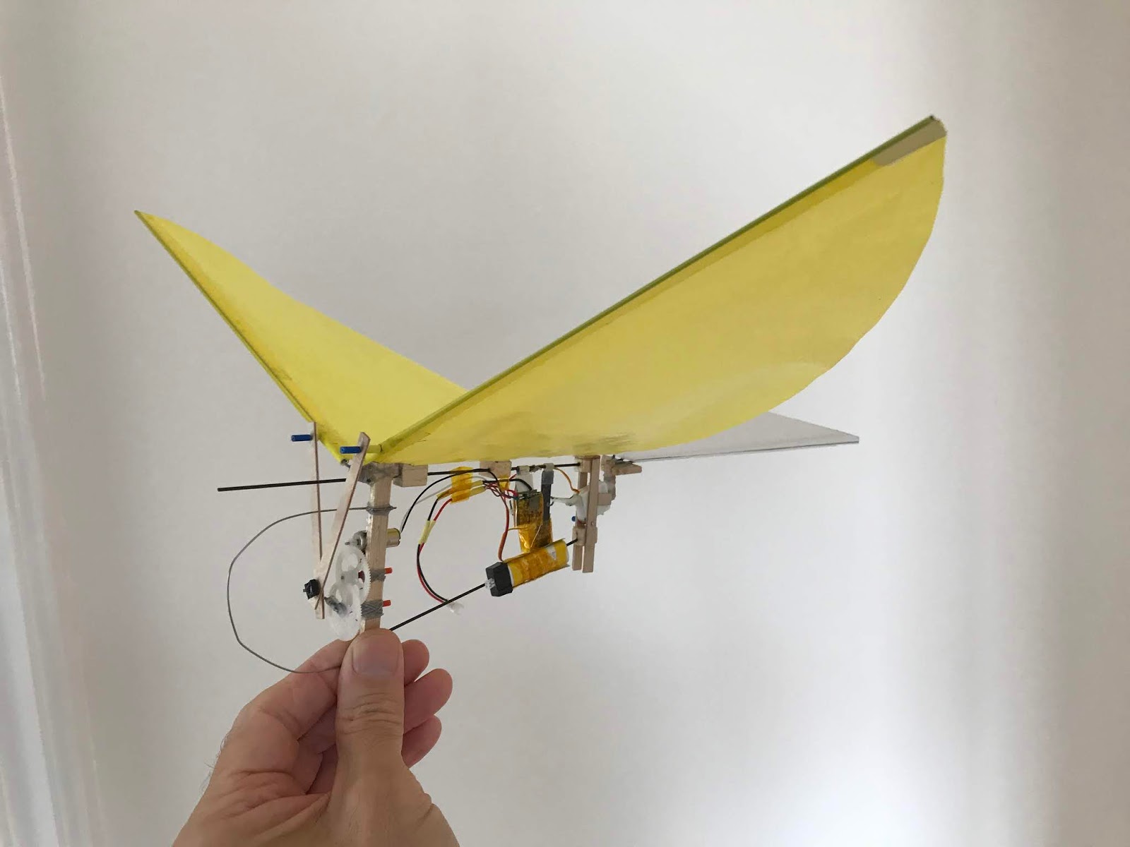 John's Ornithopters My first properly built ornithopter