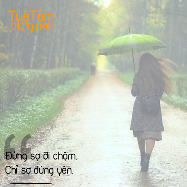 Đừng sợ đi chậm. Chỉ sợ đứng yên.