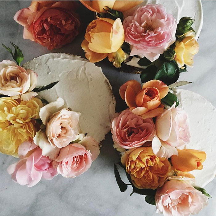 From Instagram | 10 Images With: Sweet Laurel