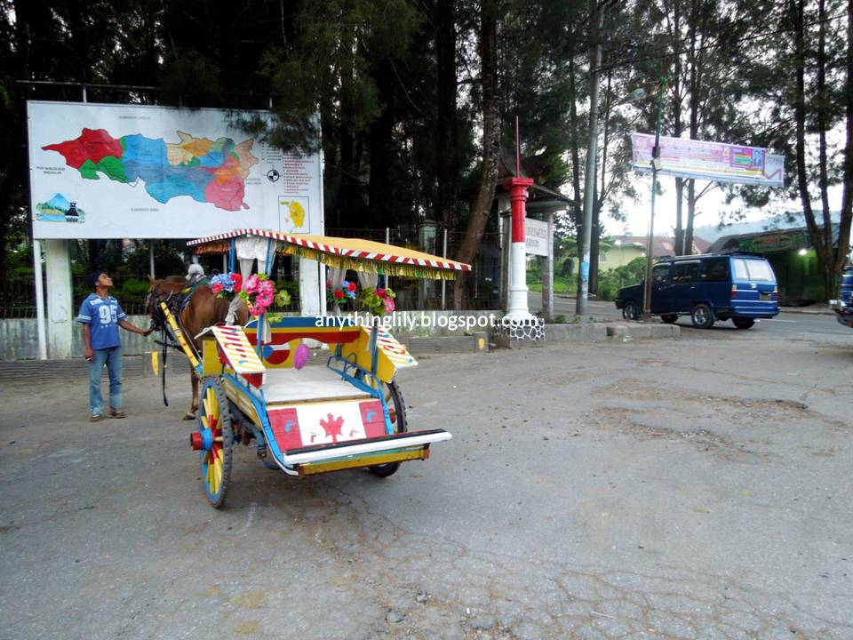 anythinglily: Medan Travel Part 14: Berastagi Flower ...