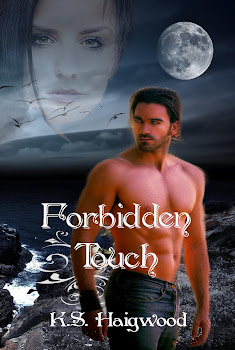 Forbidden Touch by K. S. Haigwood