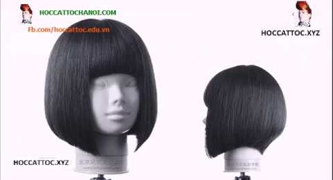 Video Dạy Cắt Tóc, Combination Design Cut Salon Work (Phần 5)