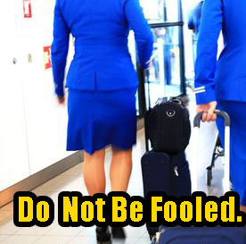 flight attendants do