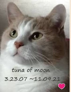 Tuna of Moon.