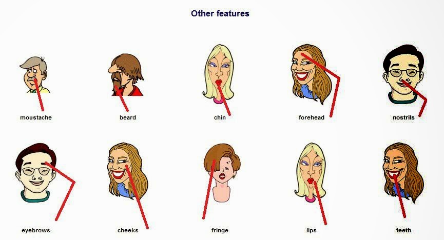 Alteration перевод. Other переводчик. приложение dictionary. переводчик приложение. как пользоваться alltrans.