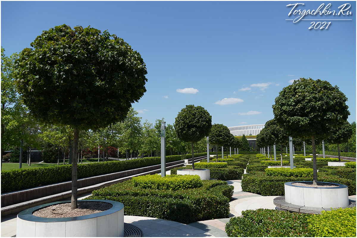 Основатель парка галицкого Основатель парка галицкого