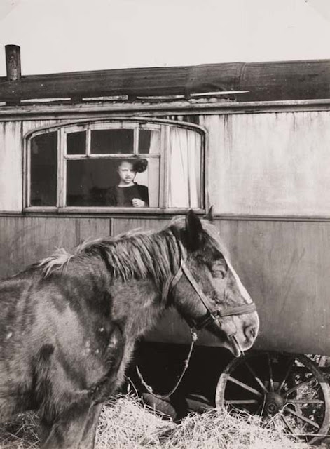 OLTRE IL MURO ARTE e FOTOGRAFIA RENÉJACQUES PHOTOGRAPHER