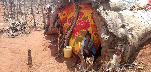 Pictures couple and their six children living inside a tree stump in Voi