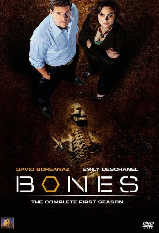 MediaFire TVShows Bones Season 1
