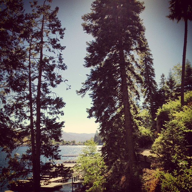 lake arrowhead, tall trees