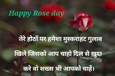 Rose Day Shayari