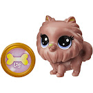 Littlest Pet Shop Lucky Pets Lucky Pets Fortune Surprise Pomeranian (#No#) Pet