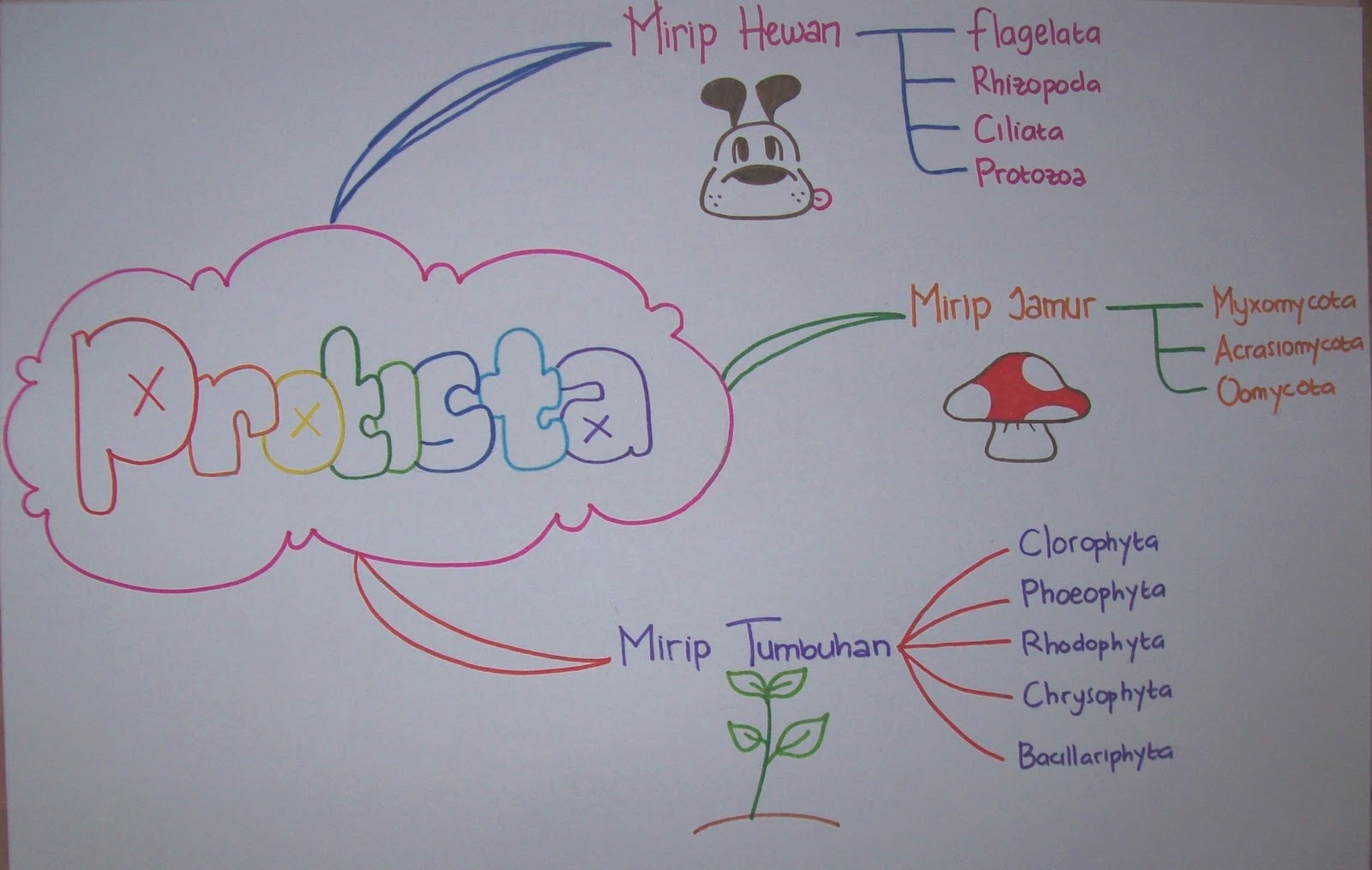 Don't call me Dewi !!: Mind Map "Protista"