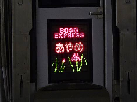 特急しおさい　新宿行き　E257系(2015.3廃止)
