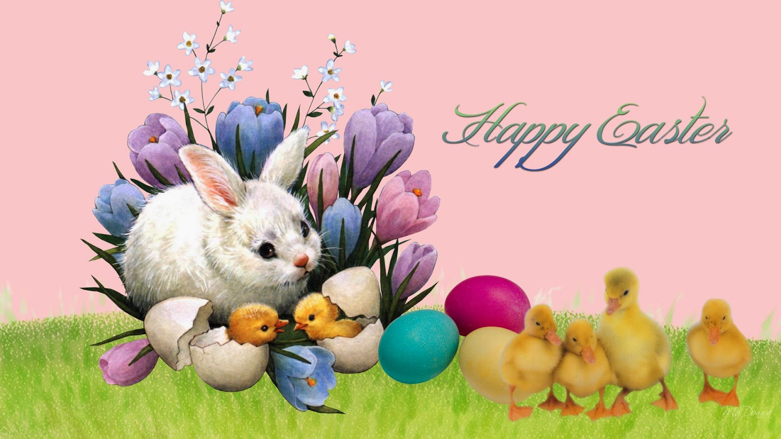 Easter-Bunny-Wallpapers