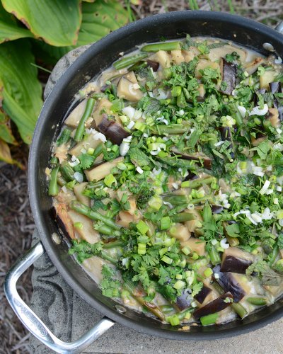 Eggplant & Bean Thai Curry Bowl ♥ KitchenParade.com, for a healthy vegan dinner with coconut milk, green curry paste and lime. Weeknight Easy. Low Carb. WW Friendly.