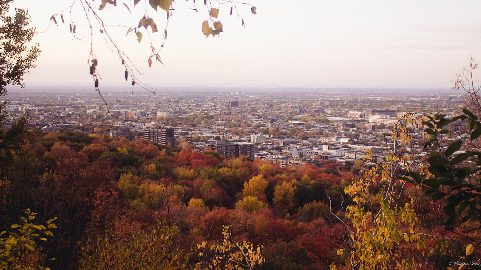 Mount Royal: Things To Do in Montreal, Quebec, Canada