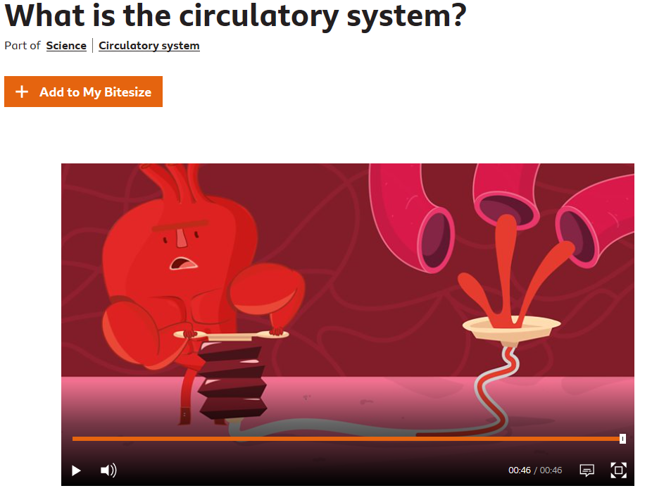 Year 6: Science Lesson 2 the Circulatory System