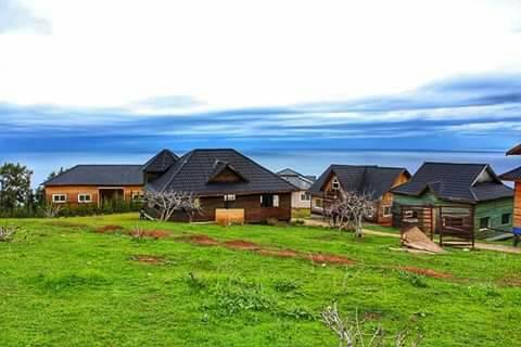 التحواس الجزائري