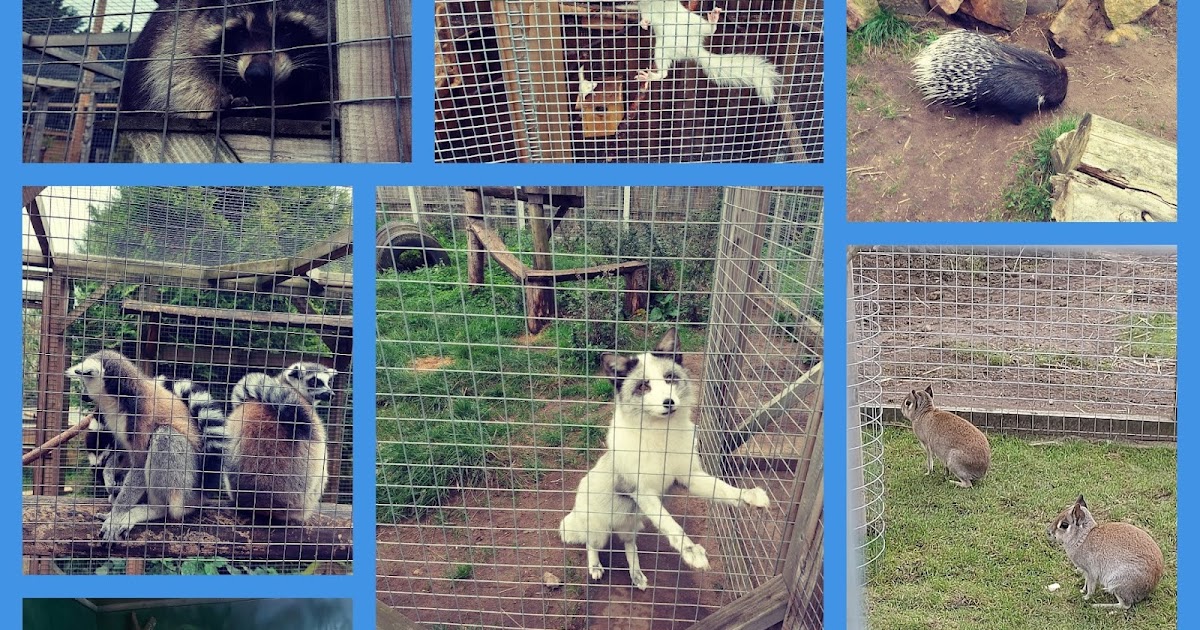 MESSINGHAM ZOO LINCOLNSHIRE Joanna Victoria