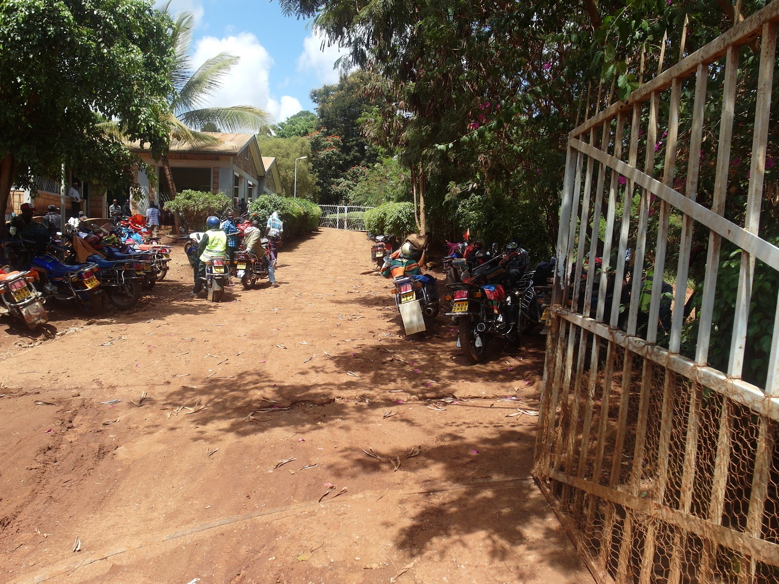 Dolore Estremo Allinguine Sinistro