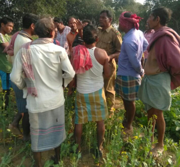 লালগড়ে ৪০হাতির হানা, বিঘার পর বিঘা ফসল হাতির পেটে, বিক্ষোভ কৃষকদের 1 লালগড়ে ৪০হাতির হানা, বিঘার পর বিঘা ফসল হাতির পেটে, বিক্ষোভ কৃষকদের
