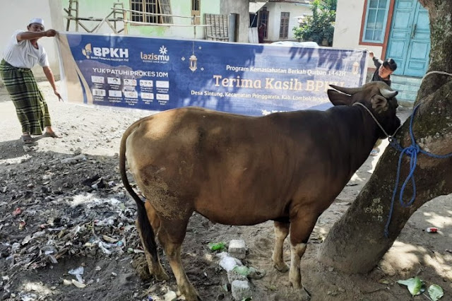 BPKH dan Lazis Muhammadiyah qurban 8 sapi untuk masyarkat terpencil di NTB