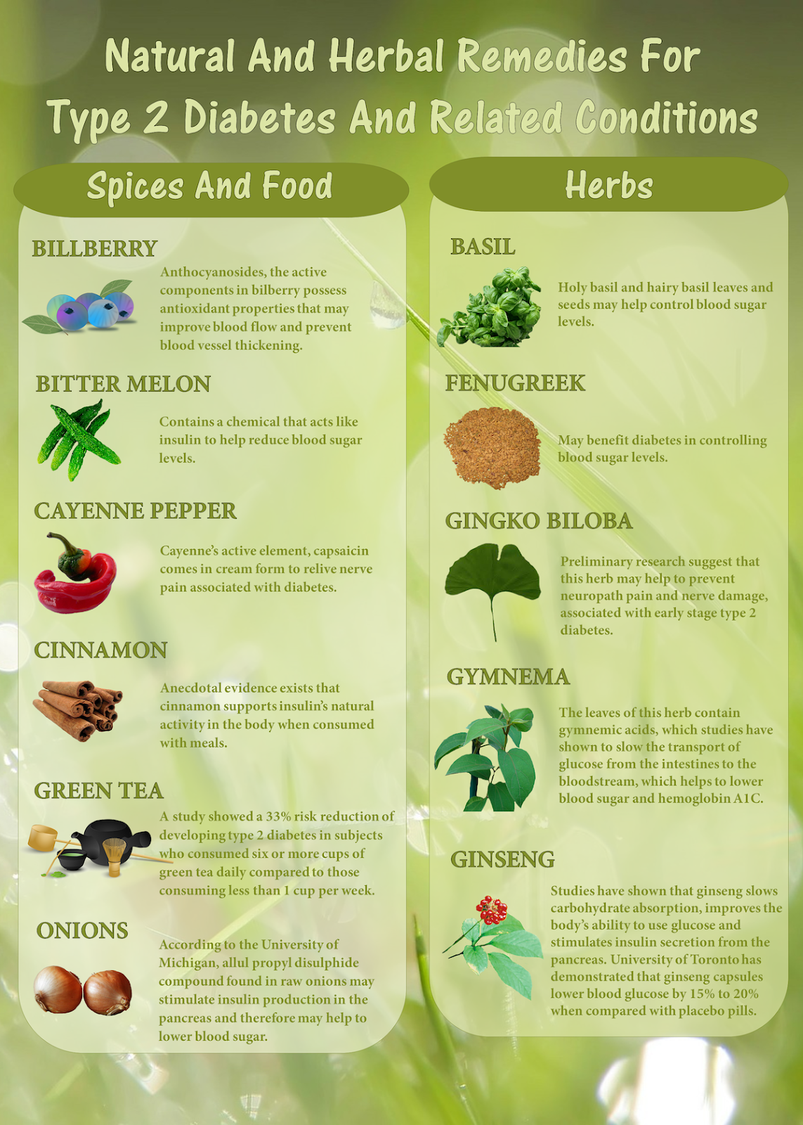 Blood Sugar Symptoms Low Blood Sugar Remedies Herbal blood-sugar-symptoms-low-blood-sugar-remedies-herbal