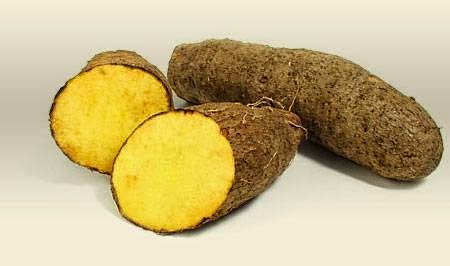 Les bienfaits de l’igname sauvage | HabarizaComores.com | Toute l ...