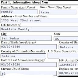 immigration petition conduct efficiently accurately fill