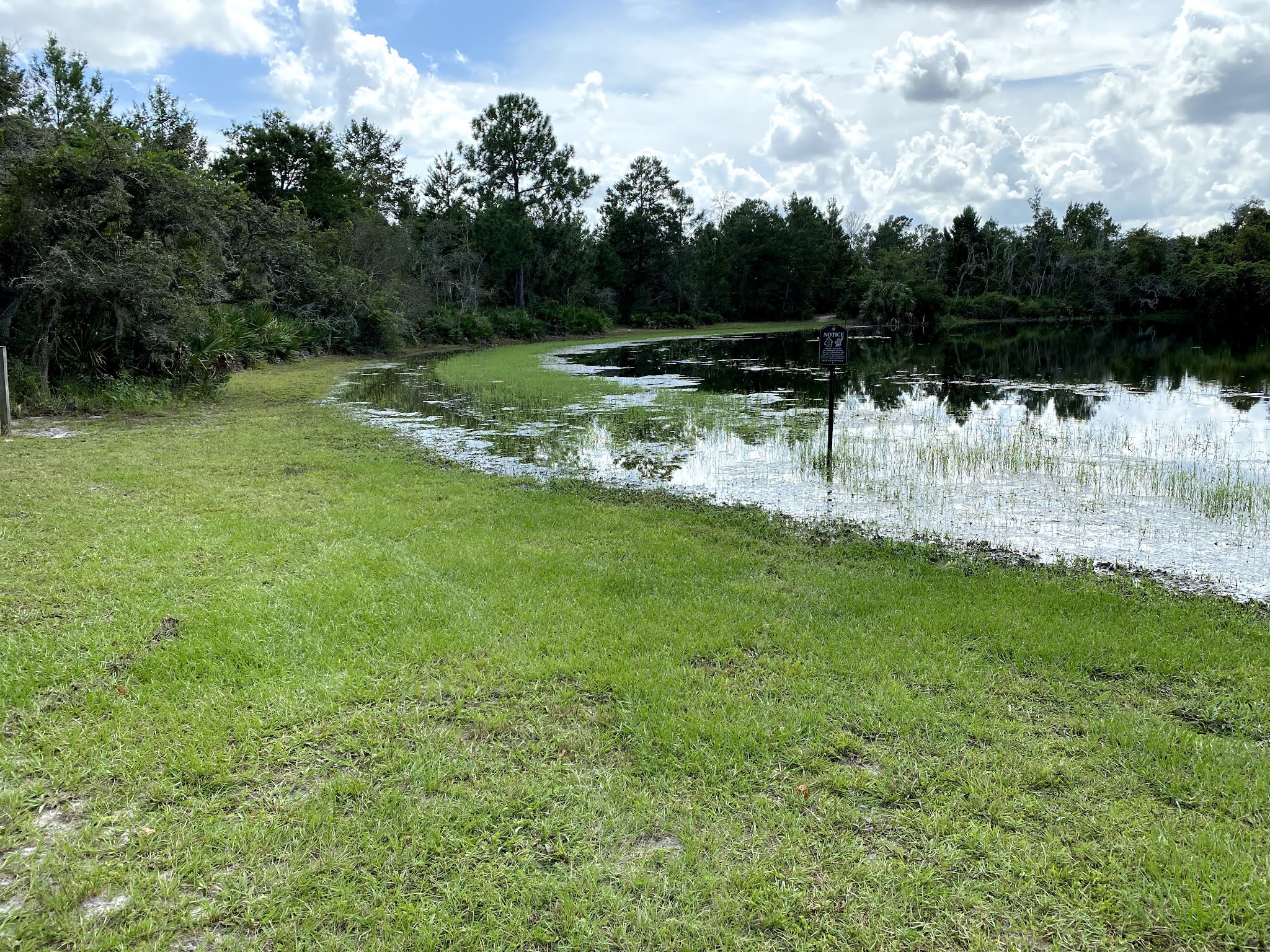 Shadow Bay Park Orlando Florida Travel Ideas