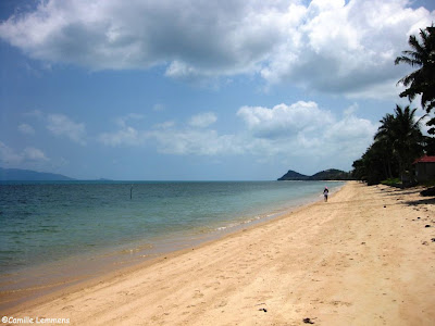 Bang Po beach