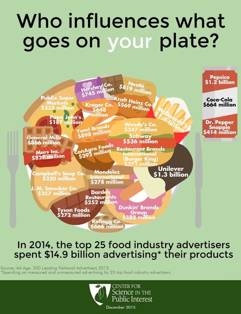Weighty Matters The Definitive Guide To Average Cabbage Weight - 1n58ff2