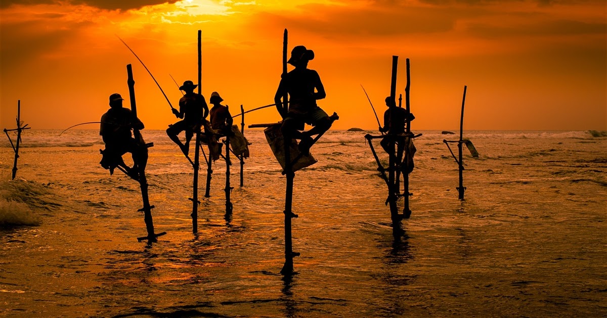 Stilt Fishing Sri Lankan tradition of all time Contourline Travels