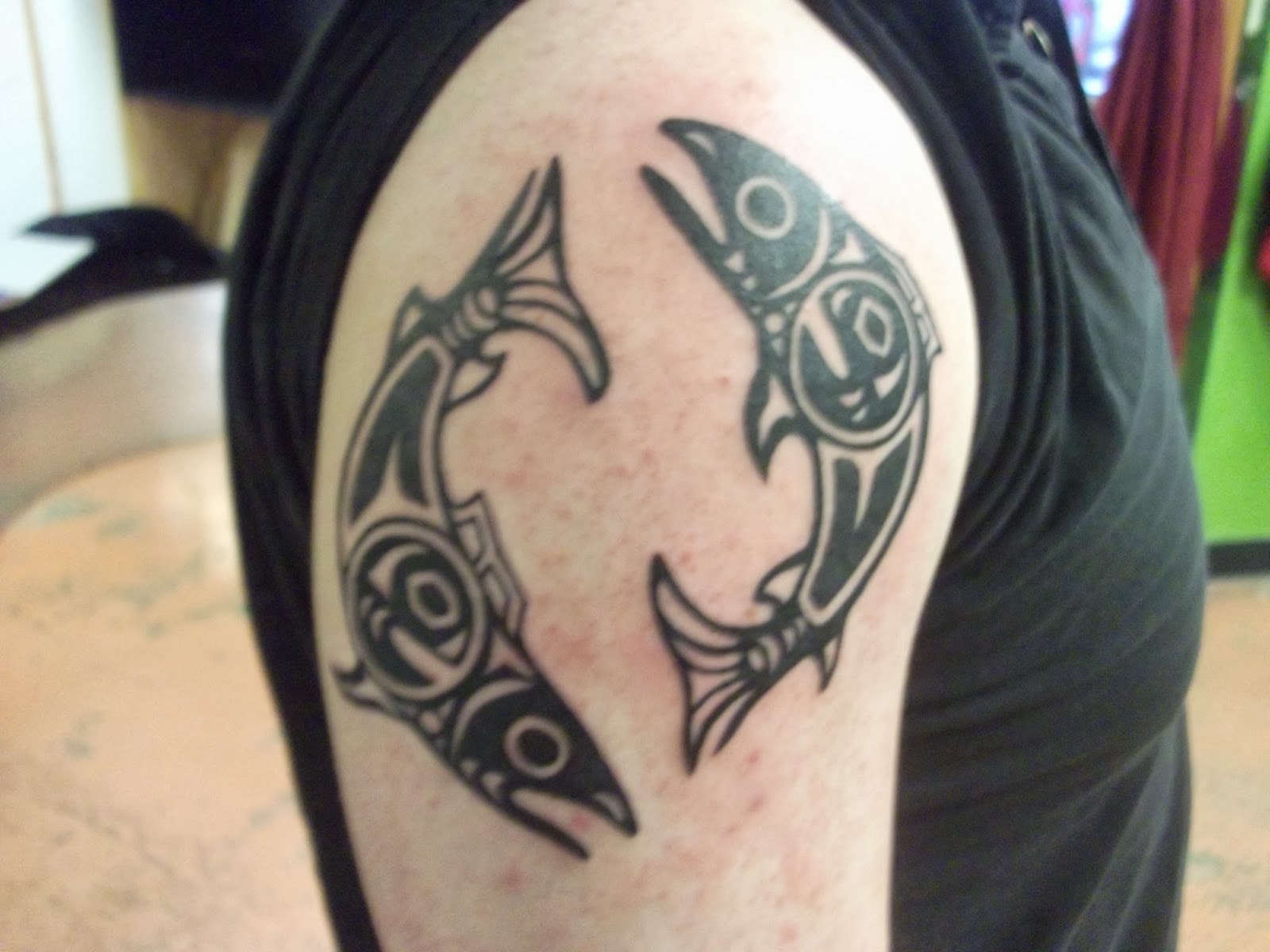 fairbanks knox kustom