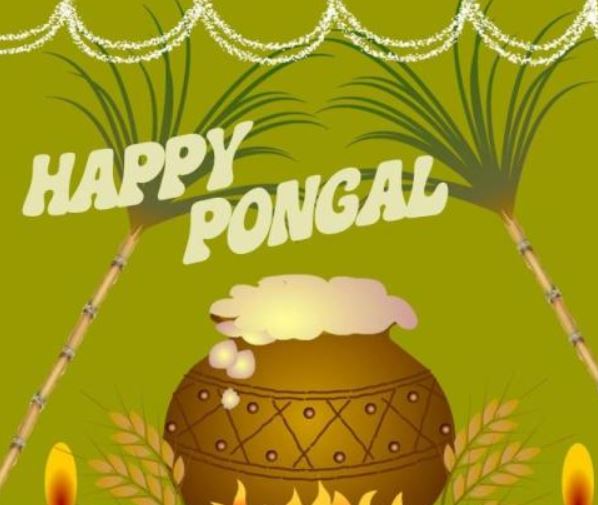 Pongal Wallpapers