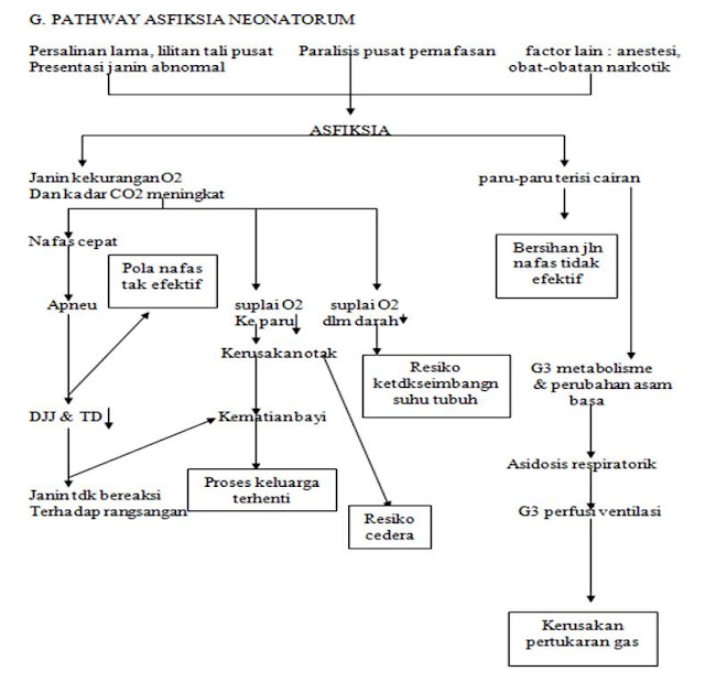 52 LIMA DUA HEALTH CENTER Pathways dengan kasus Asfiksia