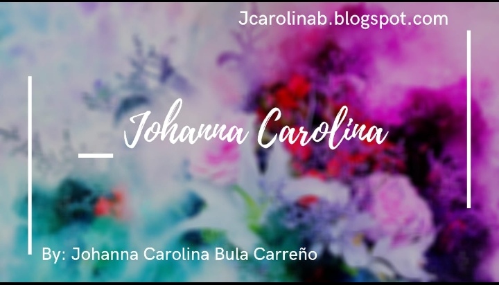 BLOG : JOHANNA CAROLINA
