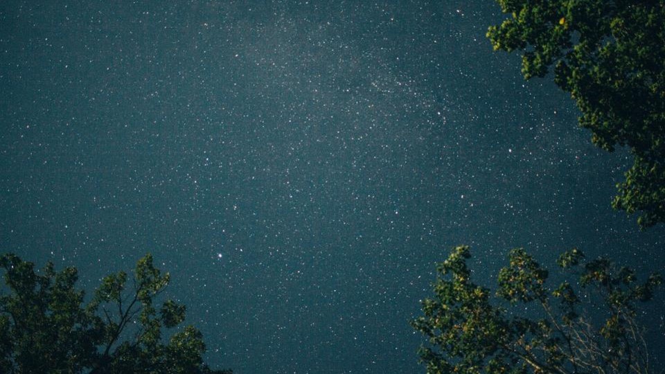 Sky and Trees Wallpaper ppt | backgrounds powerpoint