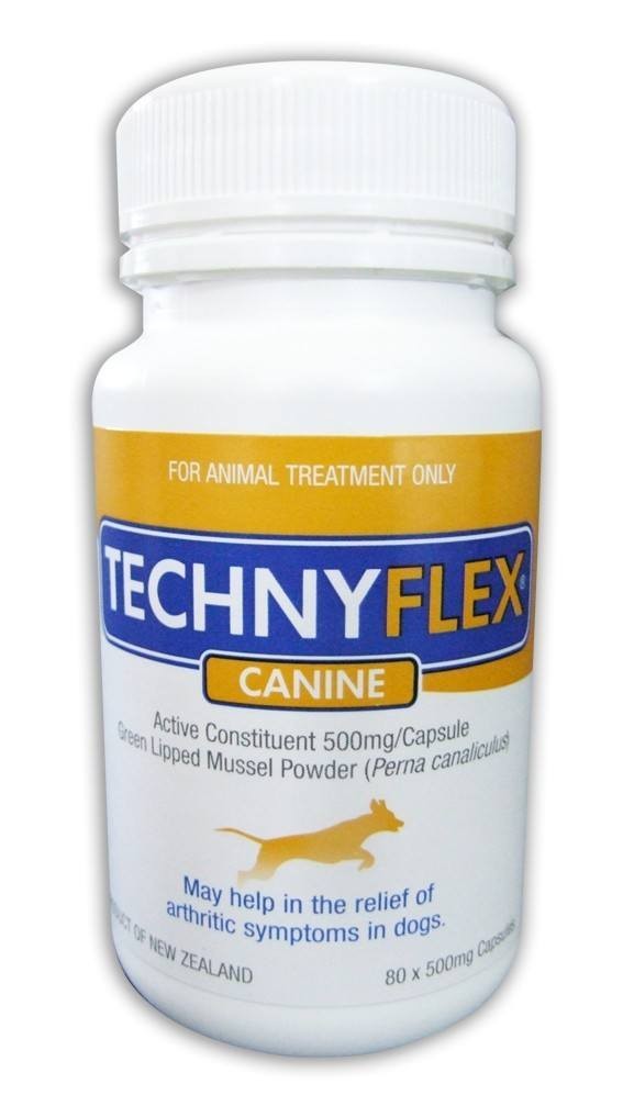 Nutraceuticals for Canine Arthritis Treatment Australian Dog Lover