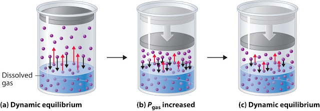 Pressure impacts solubility