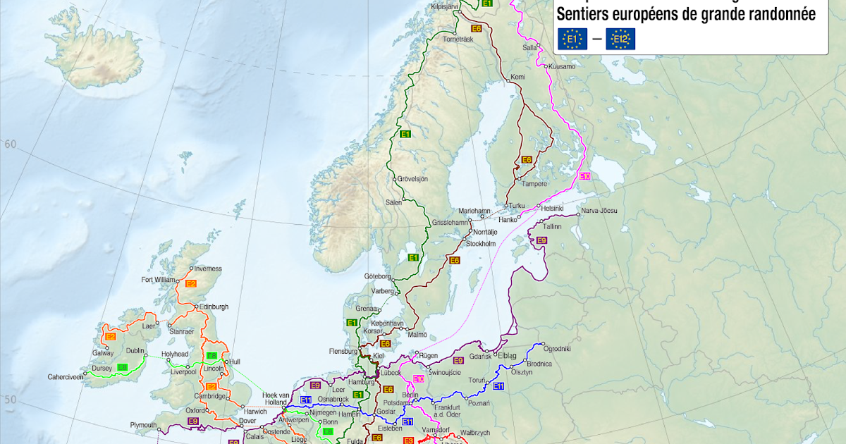Educacion Fisica para todas y todos: PROYECTO 