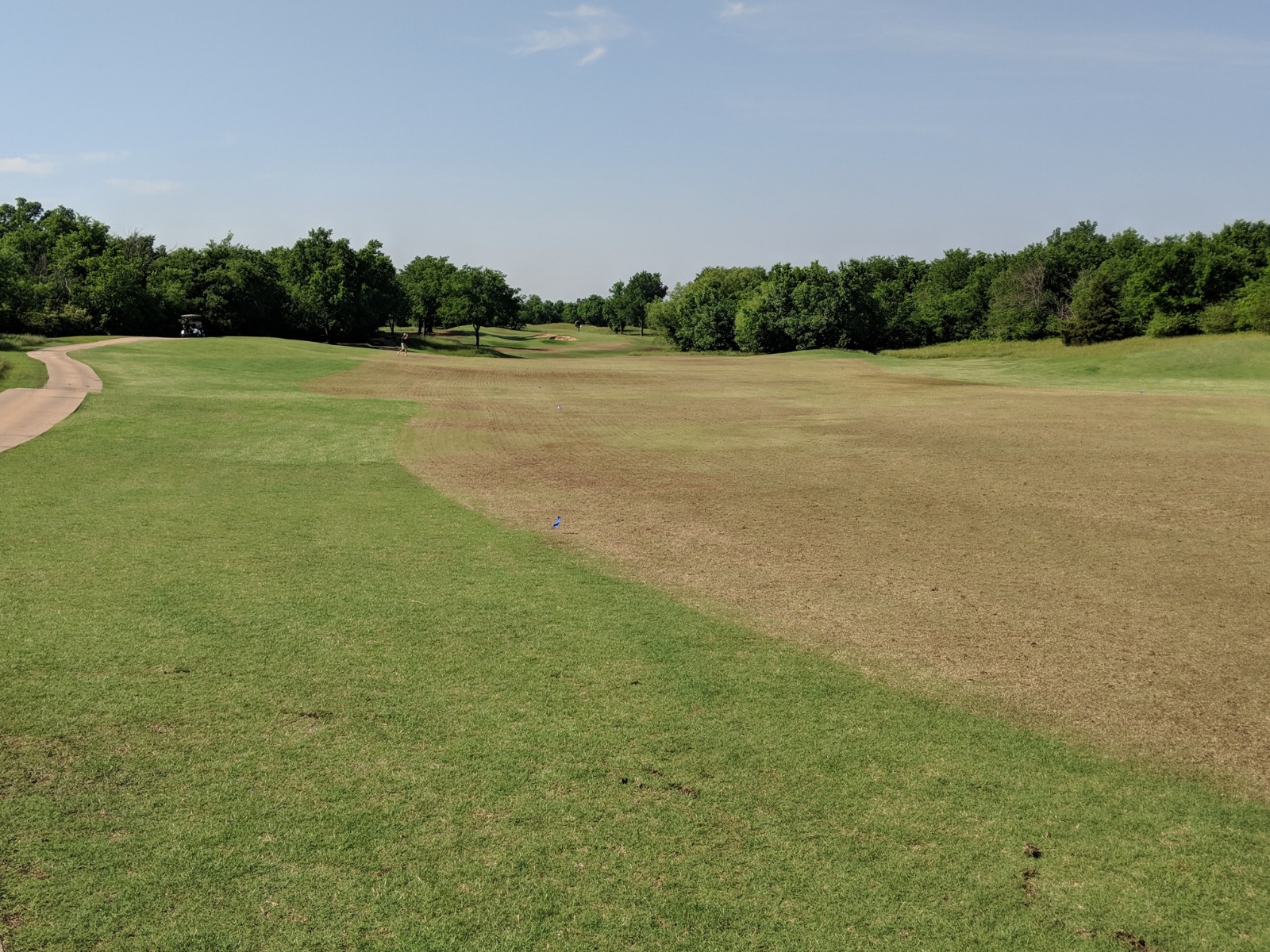 Grounds Department Blog June 2018