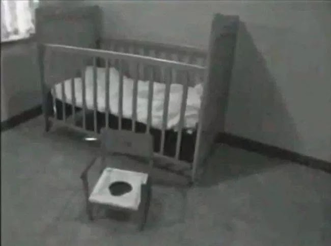 Abusive Father Kept His Little Daughter Locked In A Basement For Over A Decade Abusive Father Kept His Little Daughter Locked In A Basement For Over A Decade