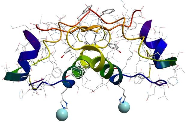 How do hormones control your life? endocrine system