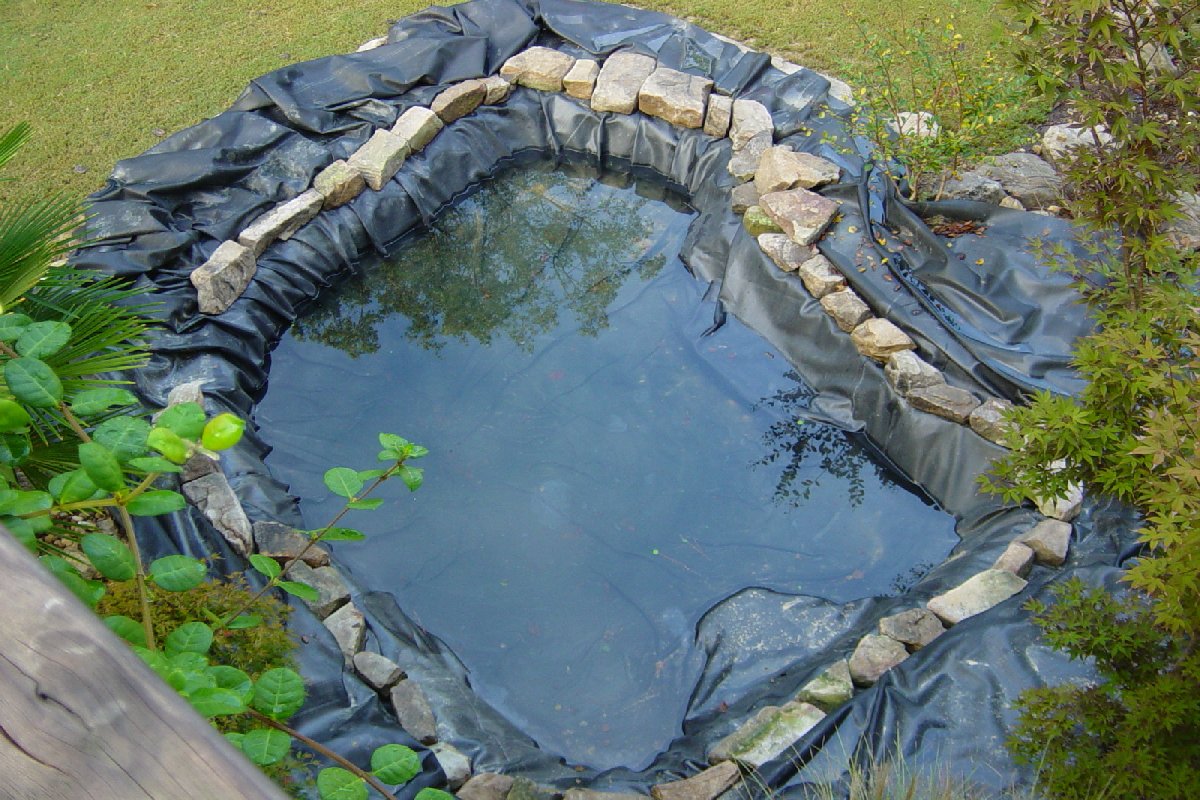 All About Pond Designs 3 Essential Tips for Perfect Pond Care!