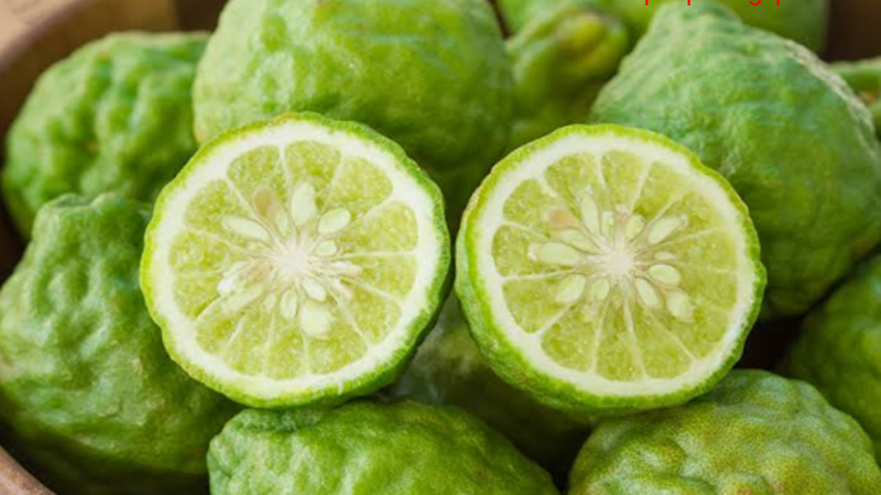 18 Arti Mimpi Tentang Buah Jeruk Purut Menurut Primbon Jawa Dan Islam -  Buku Mimpi